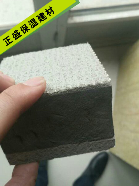 ��𱣜�ģ��