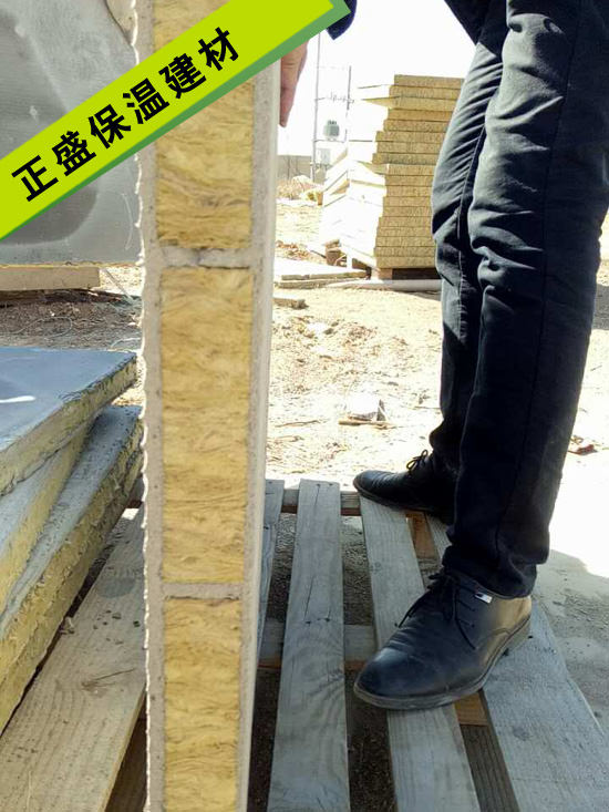 ��𱣜�ģ��