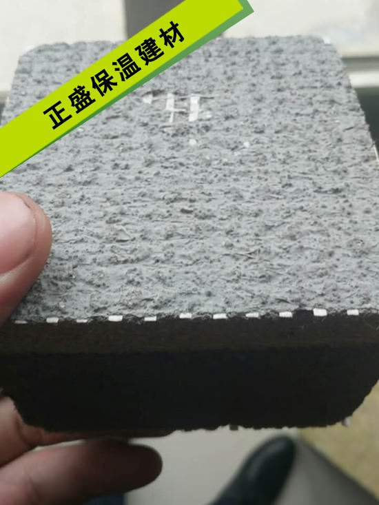 ��𱣜�ģ��