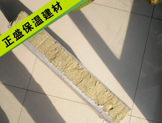 ��𱣜�ģ��